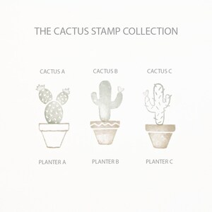 Kaktus Stempel Kollektion | Kaktus Stempel | Pflanzstempel | Handgezeichneter Kaktus Stempel | Wüstenstempel