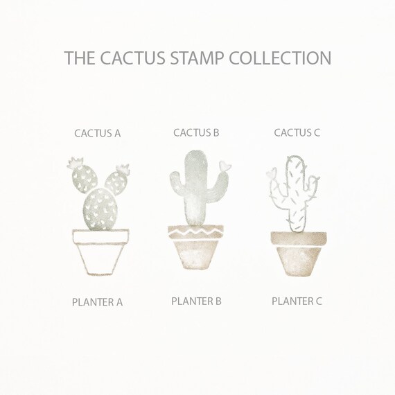 Cactus Stamp Collection | Cactus Stamp | Planter Stamp | Hand Drawn Cactus Stamp | Desert Stamp