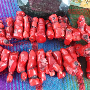 Red Coral Beads Extra Large JAPANESE Bamboo Coral Bead Strand Gemstone Polished Natural Genuine UBER RARE Extra Large High Quality Specimen