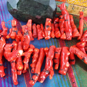 Red Coral Beads Large JAPANESE Bamboo Coral Bead Strand Gemstone Chunky Heavy Polished Genuine SUPER RARE Large Coral High Quality Specimen