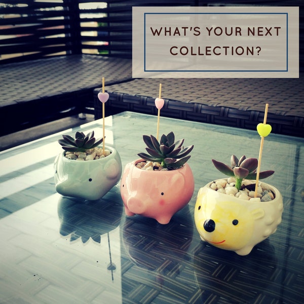 The Succulent Trio: Ceramic Planter, Mini Planters, Succulent Planter, Pottery Gift animal pot modern planter (FREE succulent & charms)