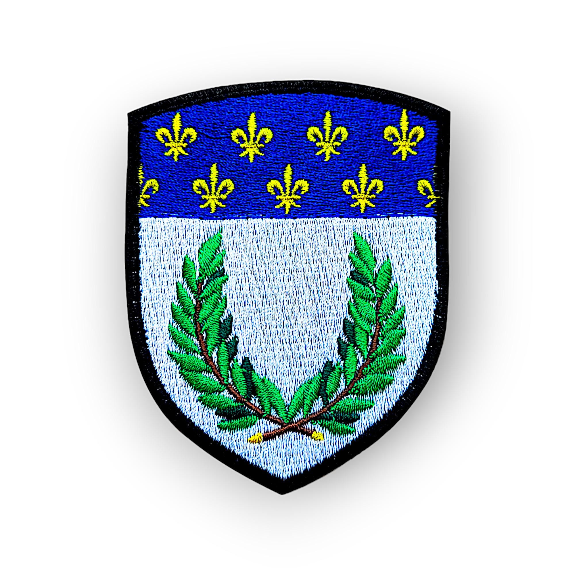 Fichier:Blason ville Reims.svg - Wikipédia