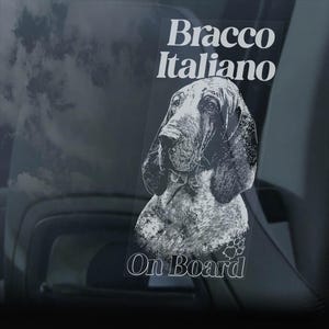 Può includere: Un adesivo bianco con un'illustrazione in bianco e nero di un cane Bracco Italiano. L'adesivo dice "Bracco Italiano" e "On Board".