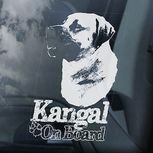 Kangal on Board - 車の窓用ステッカー - トルコのシヴァス犬サインデカール - V01
