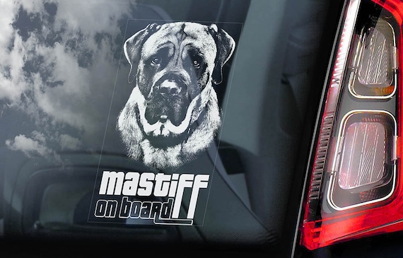 Mastiff on Board - Car Window Sticker - English Molosser Dog Sign Decal - V01