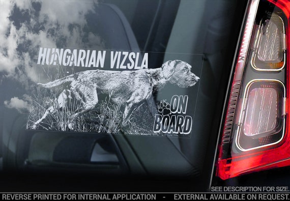 Vizsla on Board - Car Window Sticker - Magyar Hungarian Wirehaired Pointer Dog Sign Decal - V08