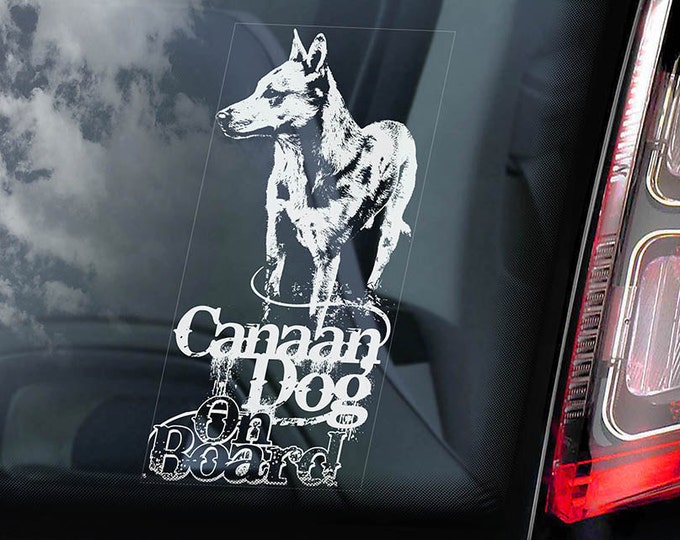 Canaan Dog on Board - Car Window Sticker -  Ancient Pariah Sign Decal Gift Art - V01