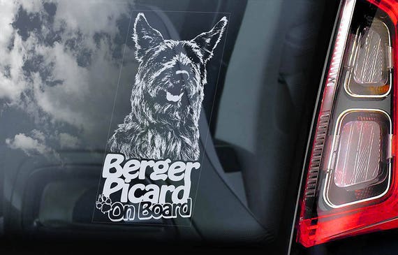 Berger Picard on Board - Car Window Sticker - Dog de Picardie Sign Decal Art Gift - V03