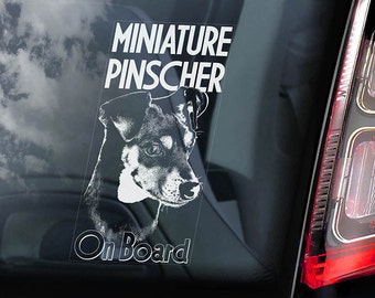 Pinscher miniatura a bordo - Etiqueta engomada de la ventana del coche - Calcomanía de signo de perro Zwergpinscher Min Pin - V01