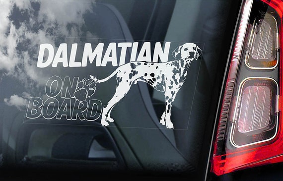 Dalmatian on Board - Car Window Sticker - Carriage Leopard Dog Sign Gift Decal - V02