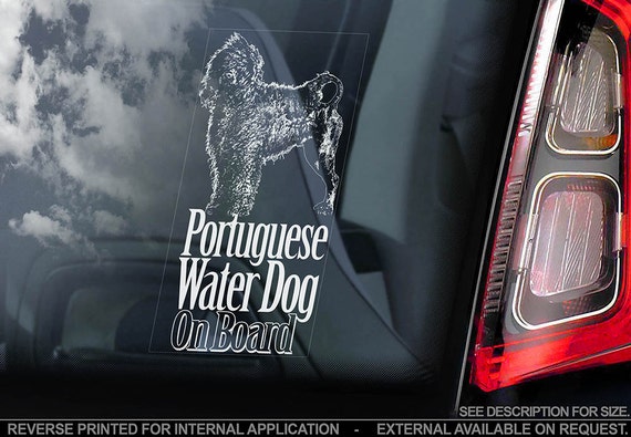 Portuguese Water Dog on Board - Car Window Sticker - Cão de Água Português Sign Decal - V01