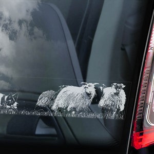ボーダーコリー - 車の窓用ステッカー - 犬のサイン スコティッシュ・シープドッグ デカール - V11