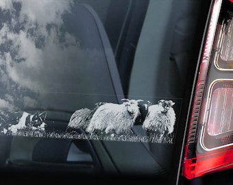 Border Collie - Car Window Sticker - Dog Sign Scottish Sheepdog Decal - V11