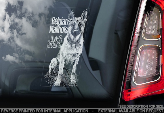 Belgian Malinois on Board - Car Window Sticker - Mechelse Herder Security K9 Dog Sign Decal - V25