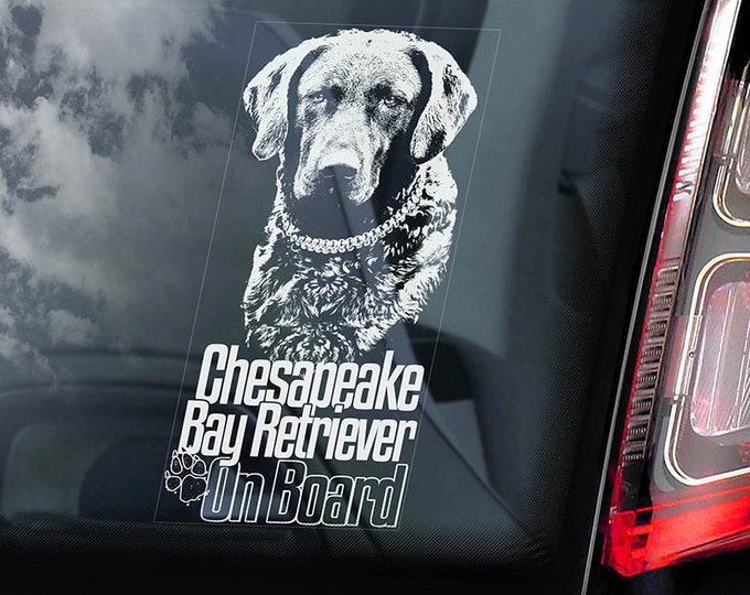 Chesapeake Bay Retriever on Board - Car Window Sticker - Chessie CBR Dog Sign Decal - V01