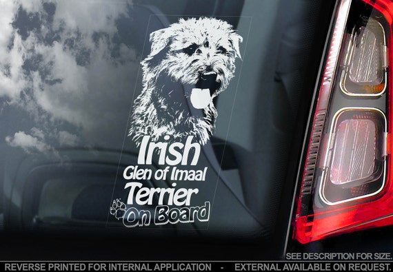 Irish Glen of Imaal Terrier on Board  - Car Window Sticker - Wicklow Dog Sign Decal  -V01