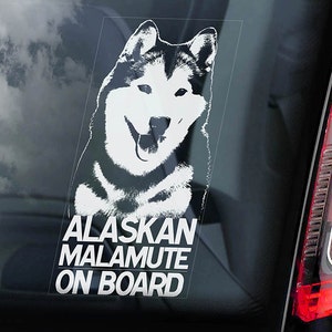 アラスカン・マラミュートが車に乗っています - 車の窓用ステッカー - 犬の看板デカール マリーギフト - V01