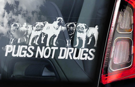 Pugs Not Drugs - Car Window Sticker - Pug Dog on Board Sign Decal -V04