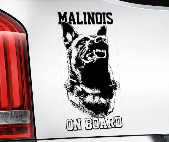 Malinois on Board - Car Window Sticker - Mechelse Herder Pastor Dog Sign Decal  -V03BLK