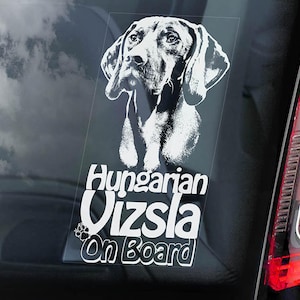 Vizsla on Board - Sticker vitre de voiture - Sticker chien pointeur hongrois magyar - V01