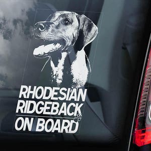 Puede incluir: Una pegatina blanca en la ventana de un coche con una ilustración en blanco y negro de un perro Rhodesian Ridgeback. La pegatina dice "Rhodesian Ridgeback On Board".