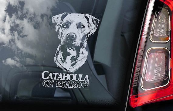 catahoula police dog