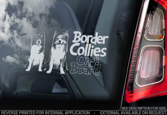 Border Collies on Board - Car Window Sticker - Collie Dog Sign Scottish Sheepdog Decal  -V08