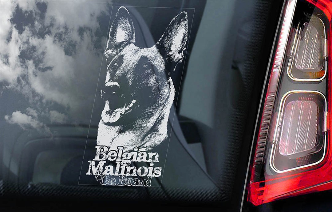 Caniche Toy à bord voiture fenêtre autocollant sticker de signe de chien  Caniche Pudelhund V05 -  France