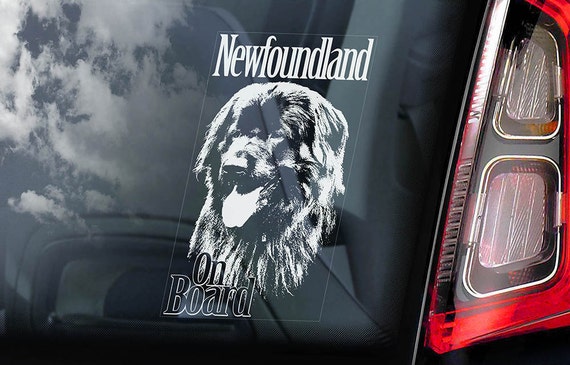 Newfoundland on Board - Car Window Sticker - Landseer Newfie Dog Sign Decal - V01