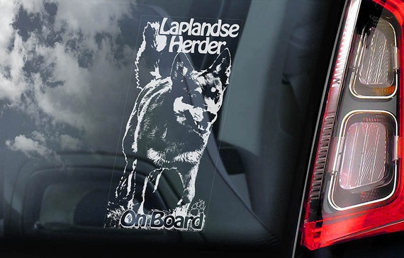 Laplandse Herder on Board - Car Window Sticker - Lapponian Lapsk Vallhund Dog Sign Decal Art Gift - V01