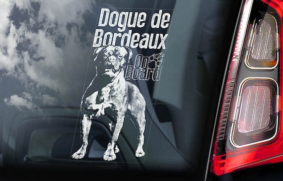 Dogue de Bordeaux on Board - Car Window Sticker - French Mastiff Sign Gift Decal - V02