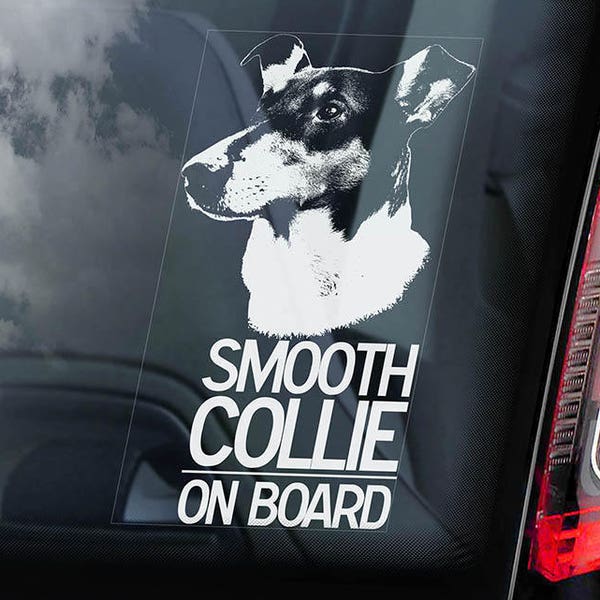 Collie Smooth-Car okno naklejki-Dog znak kalkomania sztuka prezent-V01