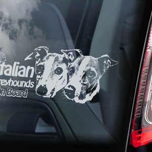 イタリアン・グレイハウンドが乗っている - 車の窓用ステッカー - Levrette d'Italie Galgo italiano 犬用サインデカール - V06