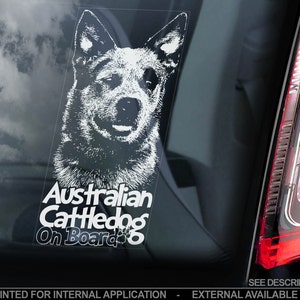 Australian Cattledog on Board - Car Window Sticker - Cattle Dog Sign Decal Gift - V03