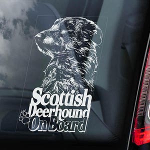 スコティッシュ・ディアハウンドが車に乗っている - 車の窓用ステッカー - 犬の看板デカールギフトアート - V01