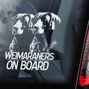 Weimaraners on Board - Car Window Sticker - Weimaraner Vorstehhund Dog Sign Decal - V03