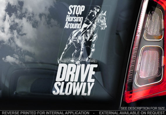 DRIVE SLOWLY - Horse Car Window Sticker - Equestrian Horsebox Decal Sign Gift Idea - V03