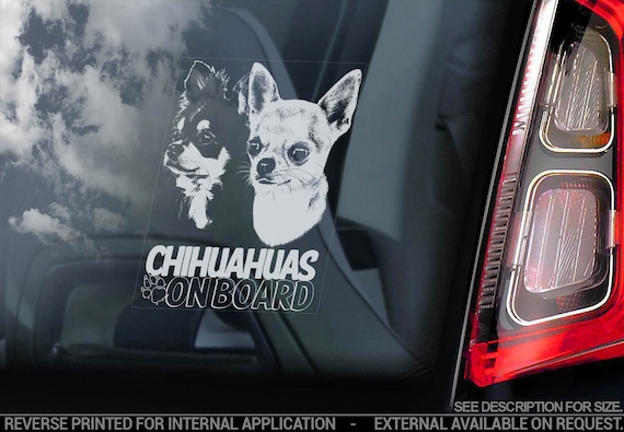 Chihuahuas on board - Car Window Sticker - Dog Sign Cute Gift Idea Bumper Decal - V13