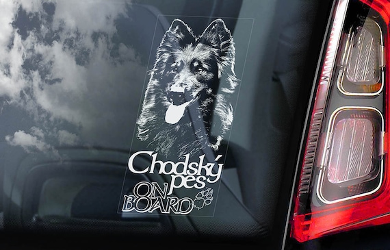 Chodský pes on Board - Car Window Sticker - Bohemian Shepherd Dog Sign Art Decal - V01