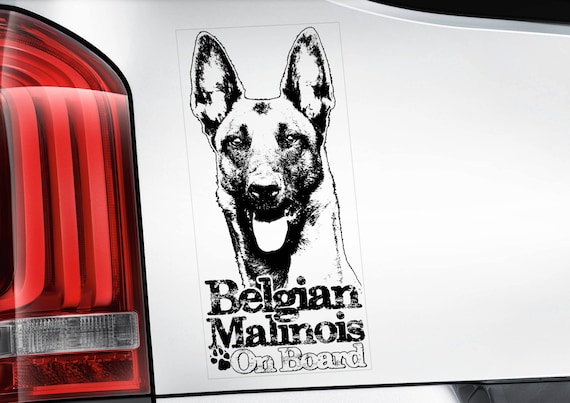 Belgian Malinois on Board - Car Window Sticker - Mechelse Herder Pastor Dog Sign Decal  -V10BLK