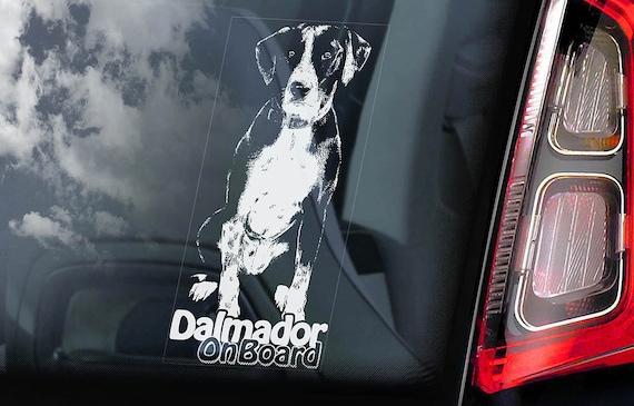 Dalmador on Board - Car Window Sticker - Cross Breed Carriage Leopard Dog Sign Gift Decal - V02