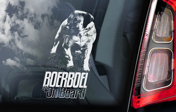 Boerboel on Board - Car Window Sticker - South African Mastiff Dog Sign Decal Art Gift - V05