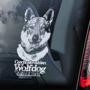 チェコスロバキアン・ウルフドッグ乗車中 - 車の窓用ステッカー - Vlcak Cane Lupo Cecoslovacco サインデカール - V10