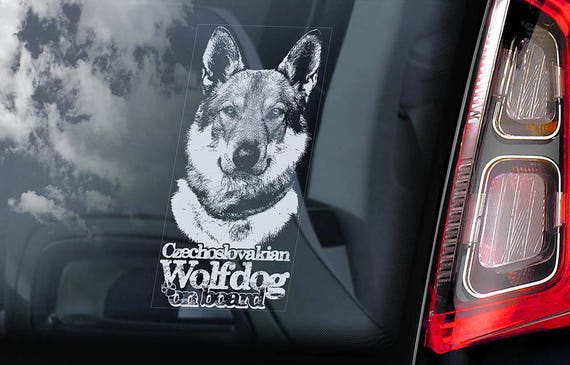 Czechoslovakian Wolfdog on Board Car Window Sticker Vlcak Cane