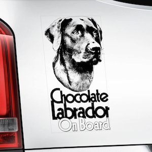 Adesivo per finestrino auto "Labrador cioccolato a bordo" - V03BLK