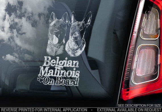 Belgian Malinois on Board - Car Window Sticker - Mechelse Herder Security K9 Dog Sign Decal - V27