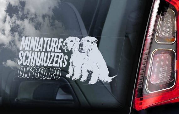 Miniature Schnauzers on Board - Car Window Sticker - Zwergschnauzer Schnauzer Dog Sign Decal - V09