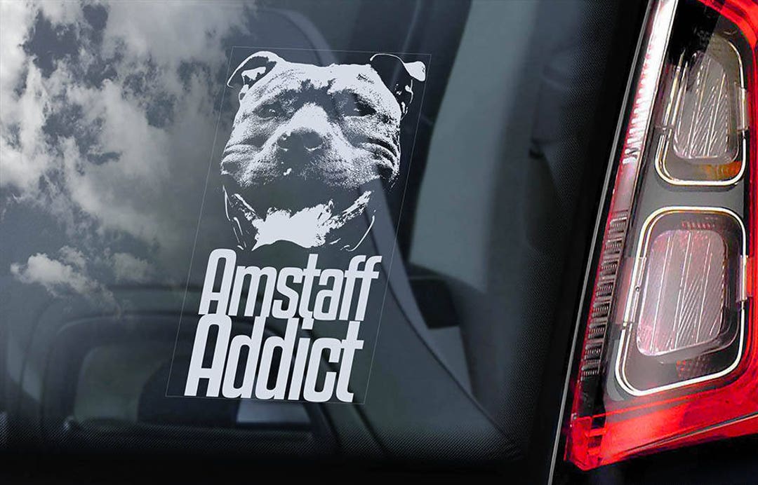 Caniche Toy à bord voiture fenêtre autocollant sticker de signe de chien  Caniche Pudelhund V05 -  France
