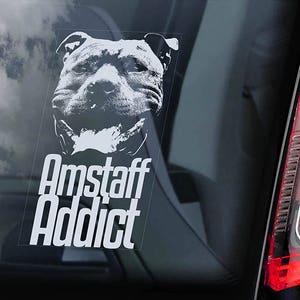 Amstaff Addict - Autoaufkleber - American Staffordshire Terrier Staffie Staffy Schild Aufkleber - V01