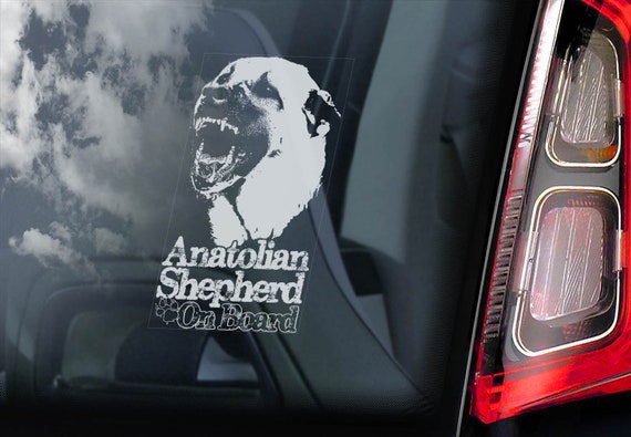 Anatolian Shepherd on Board - Car Window Sticker - Dog Sign Decal Gift - V05